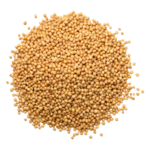 mustard seeds